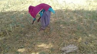 Desi Indian Boyfriend Ngewein Ceweknya Yang Lagi Kerja Di Sawah, Crot Di Dalem